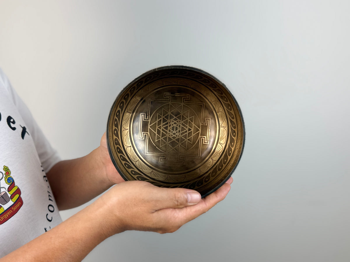 Ornamental Hand-Beaten Tibetan Singing Bowl – C4 & F6 | SB-029