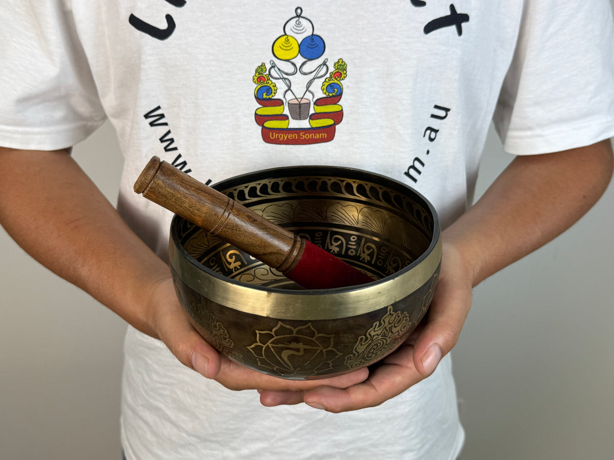 Chakra-Motif Hand-Beaten Tibetan Singing Bowl – B3 & E6 | SB-021