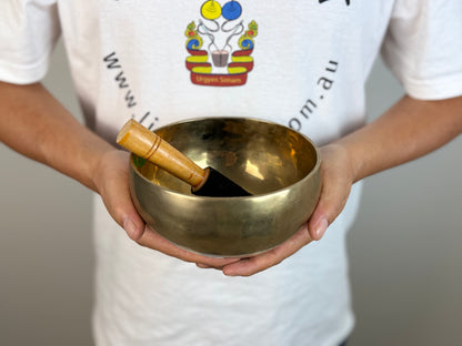 Clear-Voice Hand-Beaten Tibetan Singing Bowl – E4 & A6 | SB-028