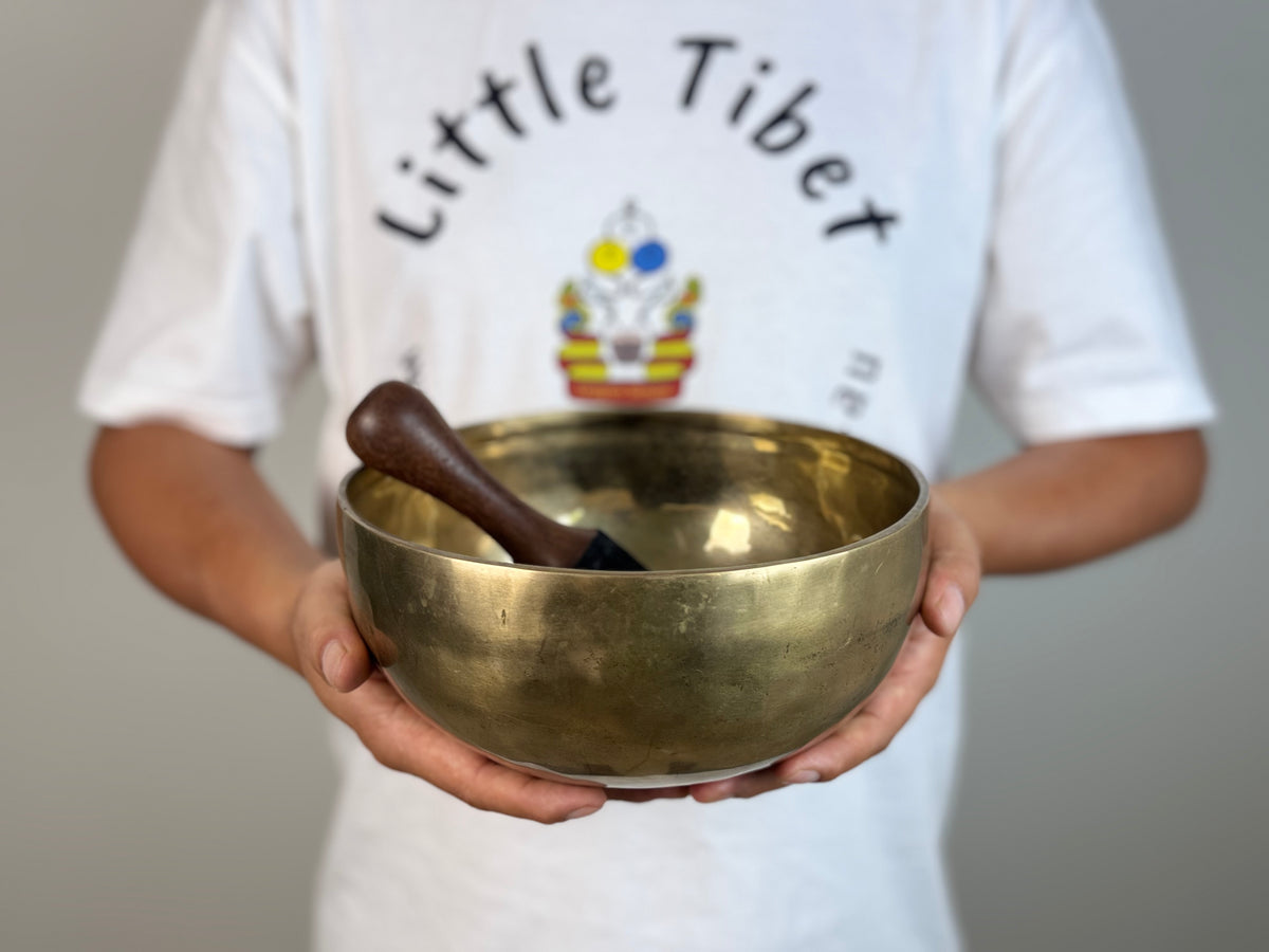 Layered-Resonance Hand-Beaten Tibetan Singing Bowl – E3 & A♯5 | SB-015