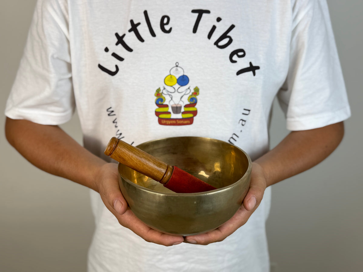 Radiant-Tone Hand-Beaten Tibetan Singing Bowl – A♯3 & E6 | SB-019