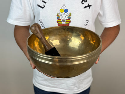 Earth-Tone Hand-Beaten Tibetan Singing Bowl – G♯2 & D♯5 | SB-032